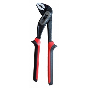 Cleste tip papagal 10"