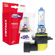 Bec Halogen HB4 12V 51W