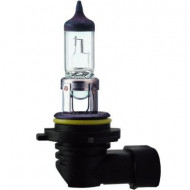 Bec far 12V 55W PX22d HIR2
