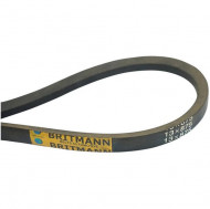 Curea transmisie Saviem 13X875