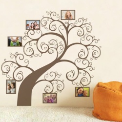 Sticker - Copac cu poze