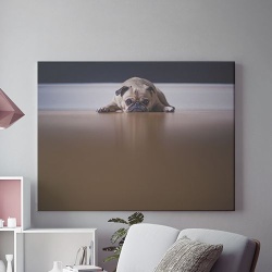 Tablou Canvas Sad friend