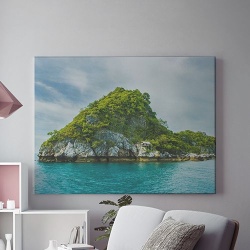 Vegetatie luxurianta