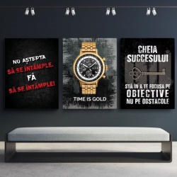 Pachet tablouri canvas motivationale - set 3 tablouri Cheia, Time si Nu astepta