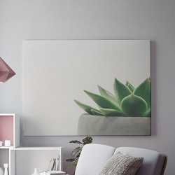 Tablou Canvas Planta decorativa