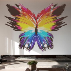 Fluturele Colorat