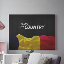 Tablou Canvas I love my country