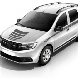 Grila capota + dungi racing stilizate