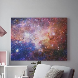 The universe