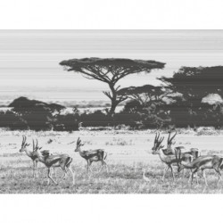 Sticker De Perete Peisaj Antilope