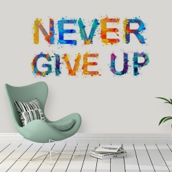 Never Give Up