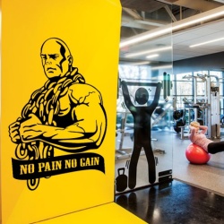 No Pain No Gain