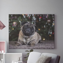 Tablou Canvas Curious puppy