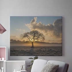 Tablou Canvas Lonely tree