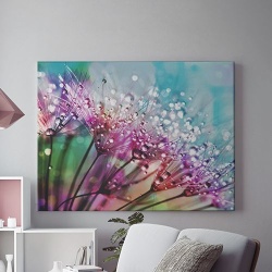 Tablou Canvas Picaturi de roua