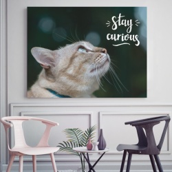 Tablou motivational - Stay curious