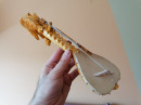 SUVENIR - Guslice - svetlije - dužina 30 cm