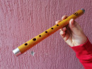 Frula Br.001 - Standardna D tonaliteta