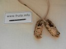 Opančići - dužine 3cm - NEUPAKOVANO - U ponudi do kraja zaliha