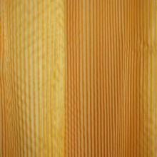Zavesa Pinela orange
