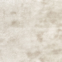 Mebl štof Buffalo pliš col.01