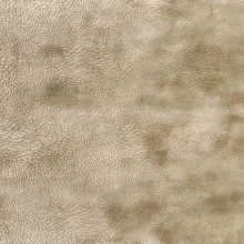 Mebl štof Buffalo pliš col.02