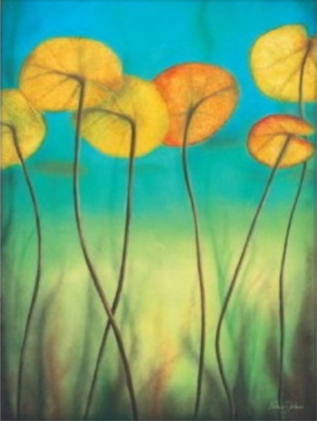 Žuti maslačak, uramljena slika 60x80cm