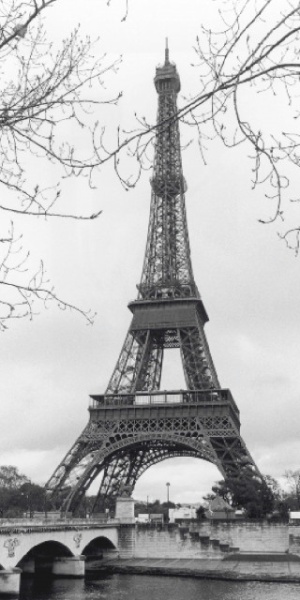 Eiffel tower, uramljena slika 50 x 100 cm