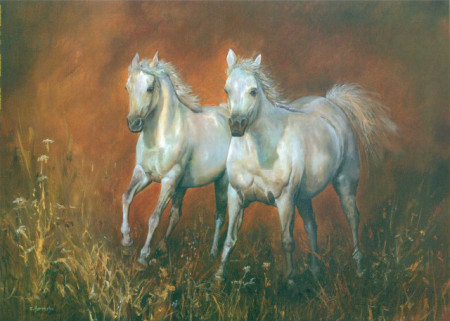 White horses, uramljena slika 50x70cm