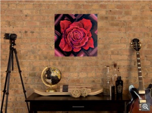 Rosa, uramljena slika 50x50cm