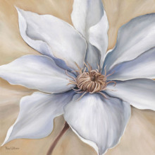 White flower 2, uramljena slika dimenzije 70x70cm