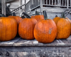 Pumpkins, uramljena slika 45x55 cm