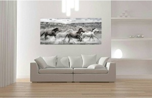 Wild horses run, uramljena slika 50x100cm