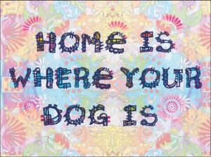 Home is were your dog is, uramljena slika 30x40cm i 40x50cm