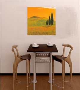 Proplanak, uramljena slika 50x50cm