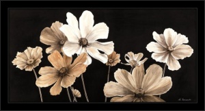 Le mie cosmee, framed picture