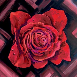 Rosa, uramljena slika 50x50cm