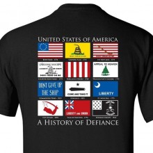 Футболка History of Defiance Black