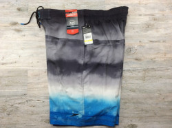 Мужские пляжные Плавки шорты (Board Shorts) Speedo
