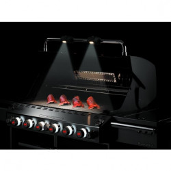 Plinski roštilj Weber Summit S-670 GBS sa 6 gorionika INOX