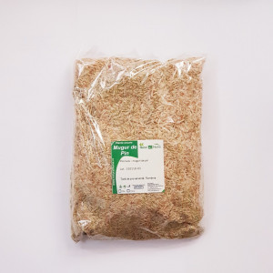 Mugur de pin 100 gr