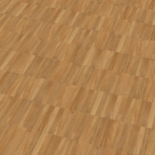 Natur Paralel 1