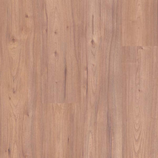 Laminat Active Cardiff 8 mm