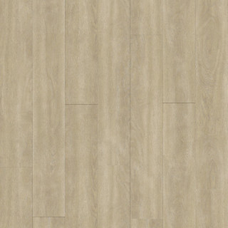 cumin 80040