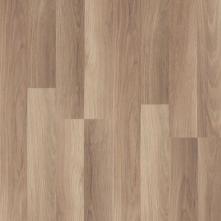 Laminat Oak Elegance C 8mm