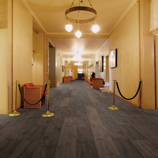 Oak terra1