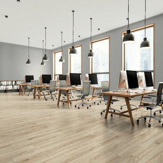 oak ticino 2