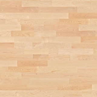 Parchet Longstrip 215/14mm 3S Andante Maple Canadian Satin