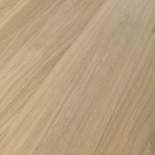 lalegni 260mm 