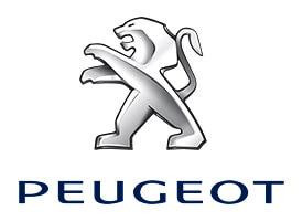 Covorase Auto Peugeot